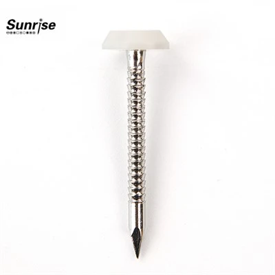 Plastic Flat Head Thread Screws