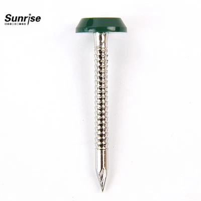 Plastic Head Nails Screws