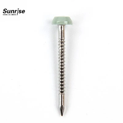 Plastic Screw Head