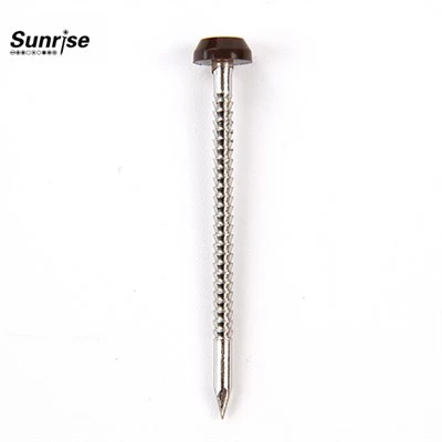 Screw With Plastic Head