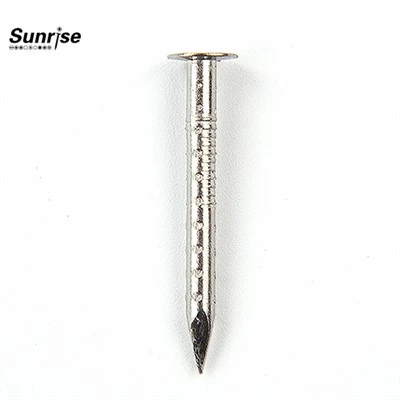 Stainless Steel Hollow Shank Nails