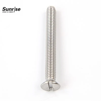 Stainless Steel Oval Head Screw