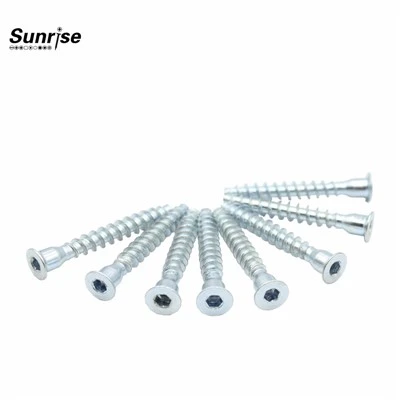 Zinc Plated C1008 Screw