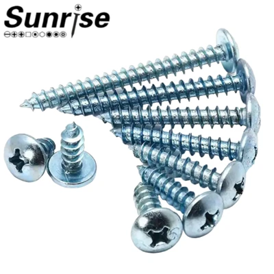 ASME B18.6.3 Grade 4.8 8.8 Cross Recessed Phillips Mushroom Truss Head Tapping Screw