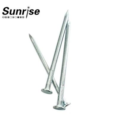 Common Long Steel Nail
