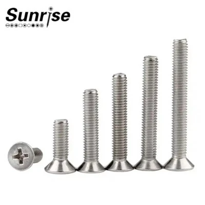 DIN965 SS316 Phillips Drive Flat Head Cross Recessed Machine Screw