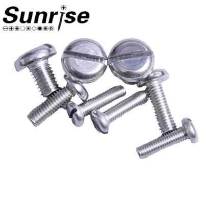 Fasteners Metric Slotted Round Pan Head Machine Screw