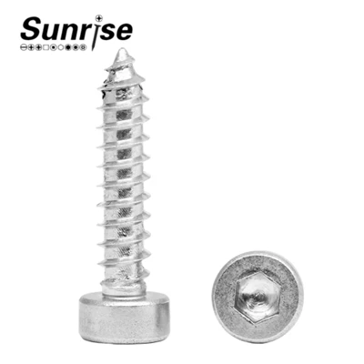 Hexagon Socket With Passivation Nickel Plating Machine Screws