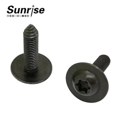 Pan Head Torx Socket Machine Tapping Automotive Screw