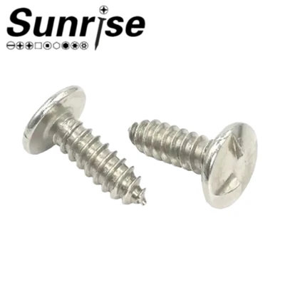 Pan Truss Head Clutch One Way Security Round Self Tapping Screw