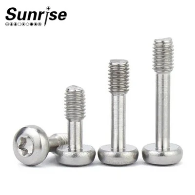 Panel Fasteners Stainless Steel Accurate Torx Pan Round Head Screw