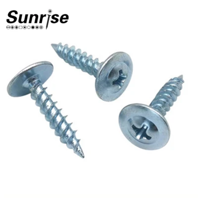 Phillip Recess Truss Head Tornillo Self Tapping Screw