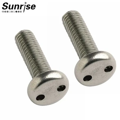 Stainless Steel 2 Hole Snake Eye Pan Head Security Screw