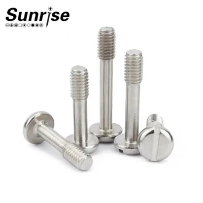 Stainless Steel 304 316 Pan Flat Head Slotted Captive Screw