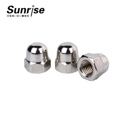 Stainless Steel Hex Protective Dome Nuts