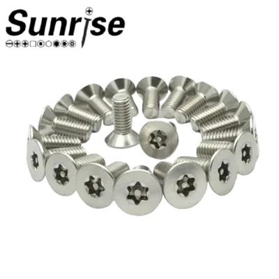Tamper Proof Anti Theft Torx Security Screw With Pin