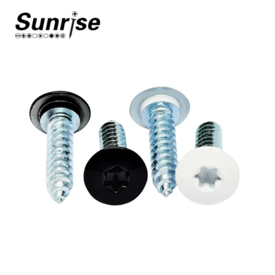 Torx Pan Head Self Tapping Screw
