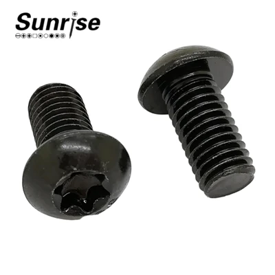 Torx T10 Pan Head Machine Screws